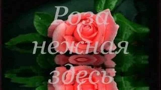   !     !.wmv   !     !.wmv      !    